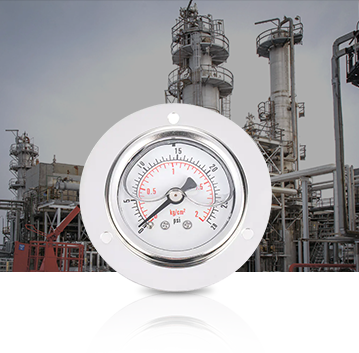 Tionscal Peitriceimiceach Pressure Gauges